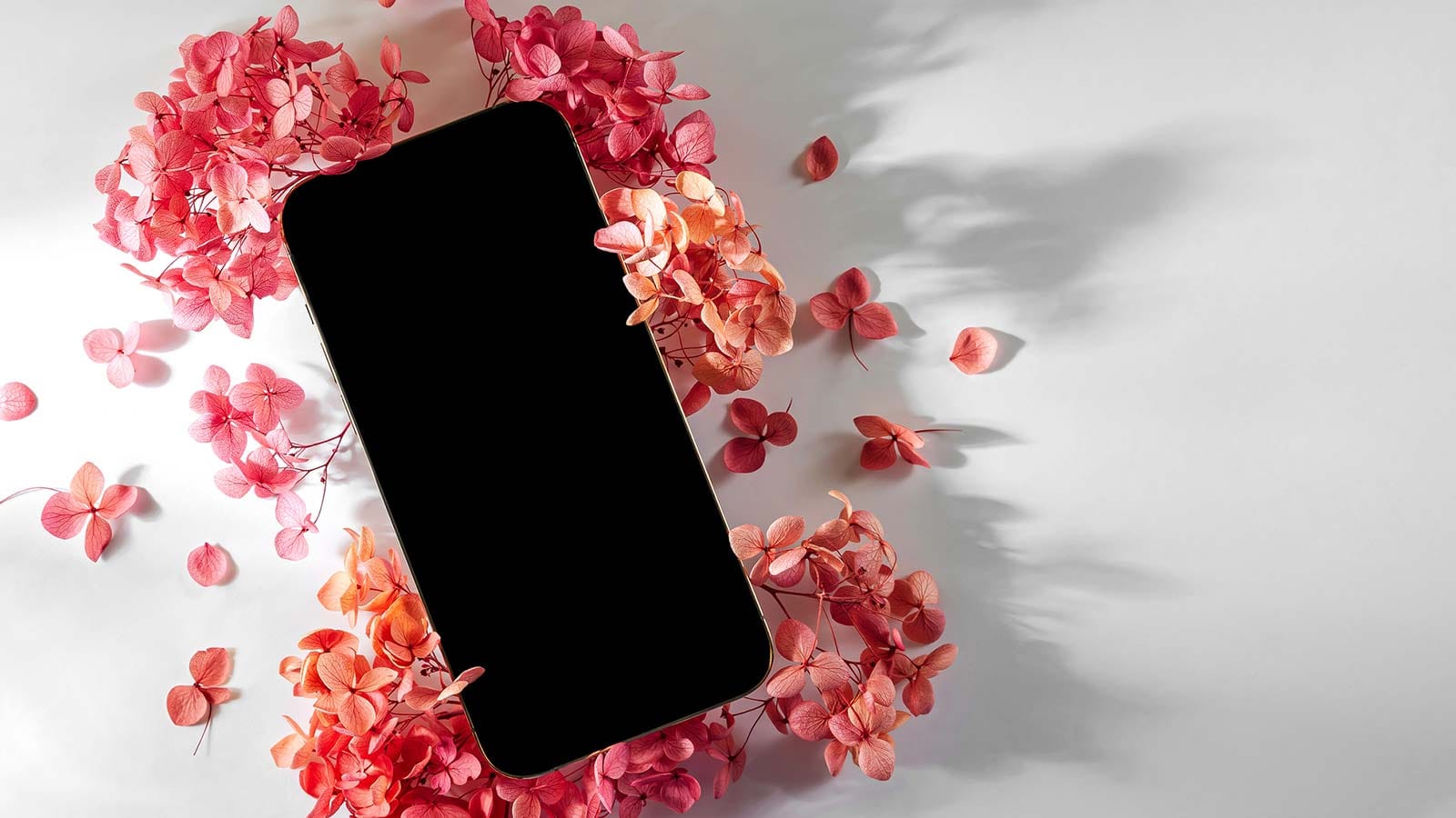 κινητό πάνω σε ροζ λουλούδια