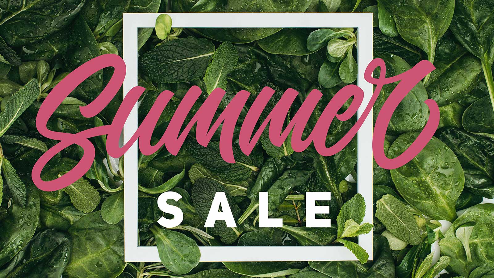 φύλλα δυόσμου με το λεκτικό summer sale απάνω