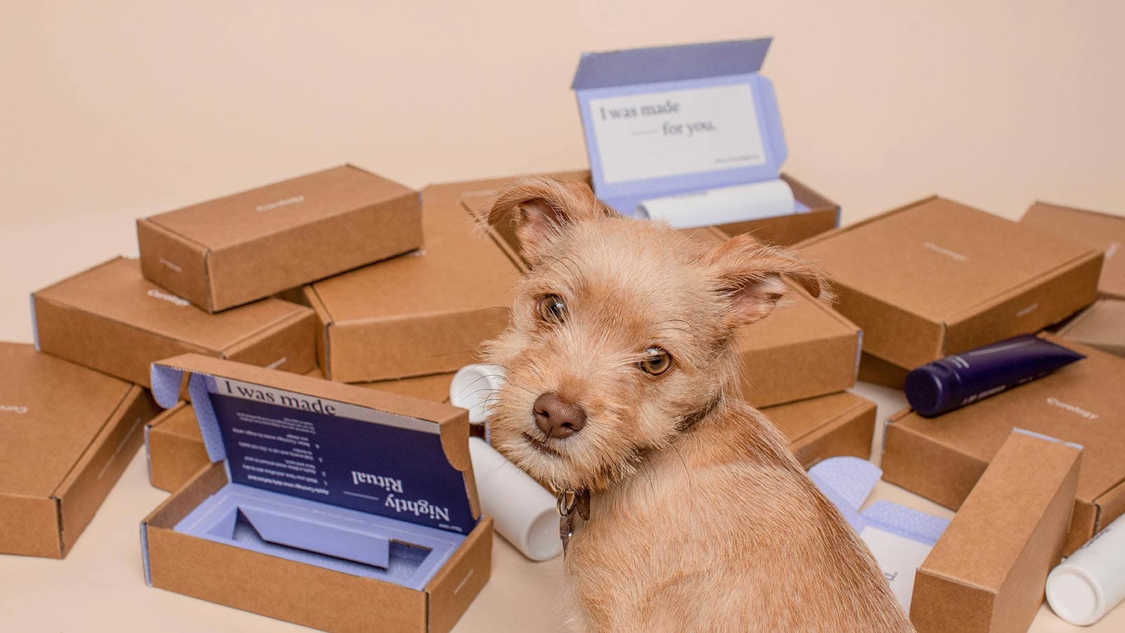 Σκυλάκι μπροστά από Shopify Subscription Boxes