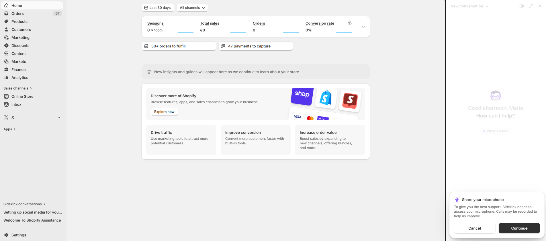Screenshot από το Sidekick στο Shopify