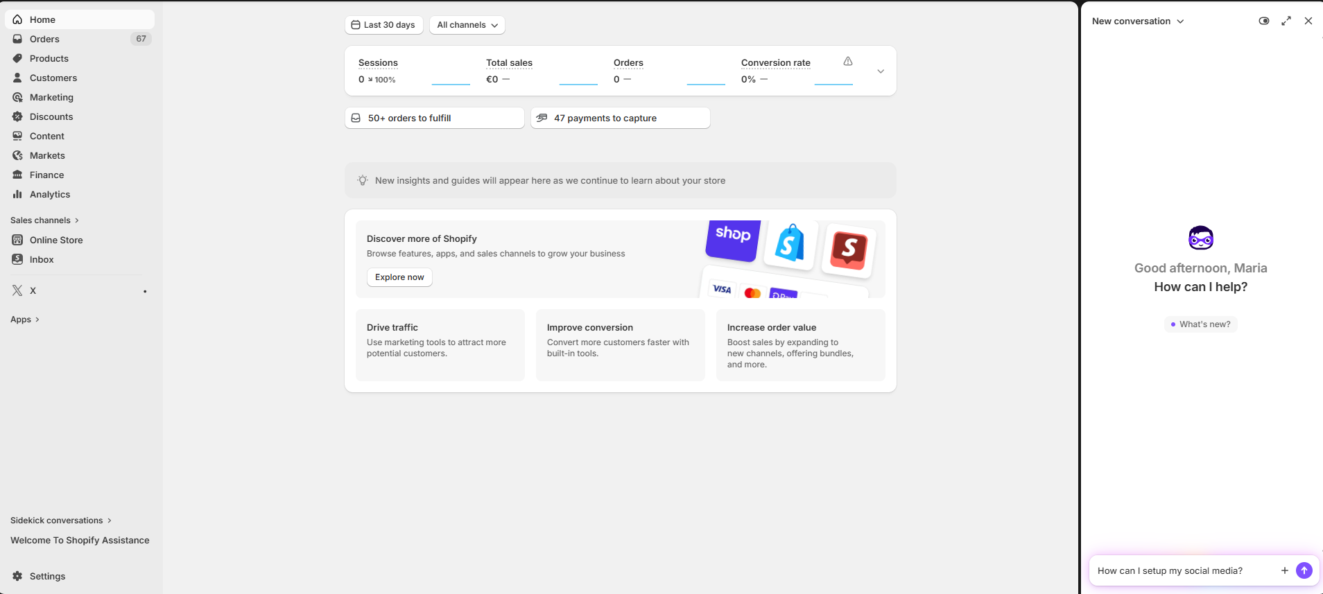 Screenshot από το Sidekick στο Shopify