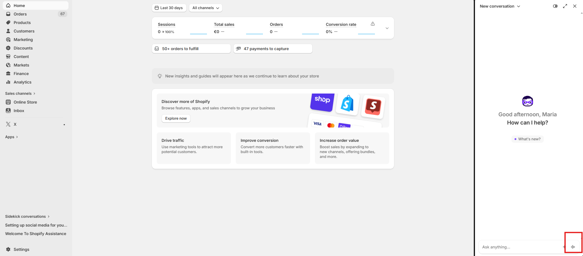 Screenshot από το Sidekick στο Shopify
