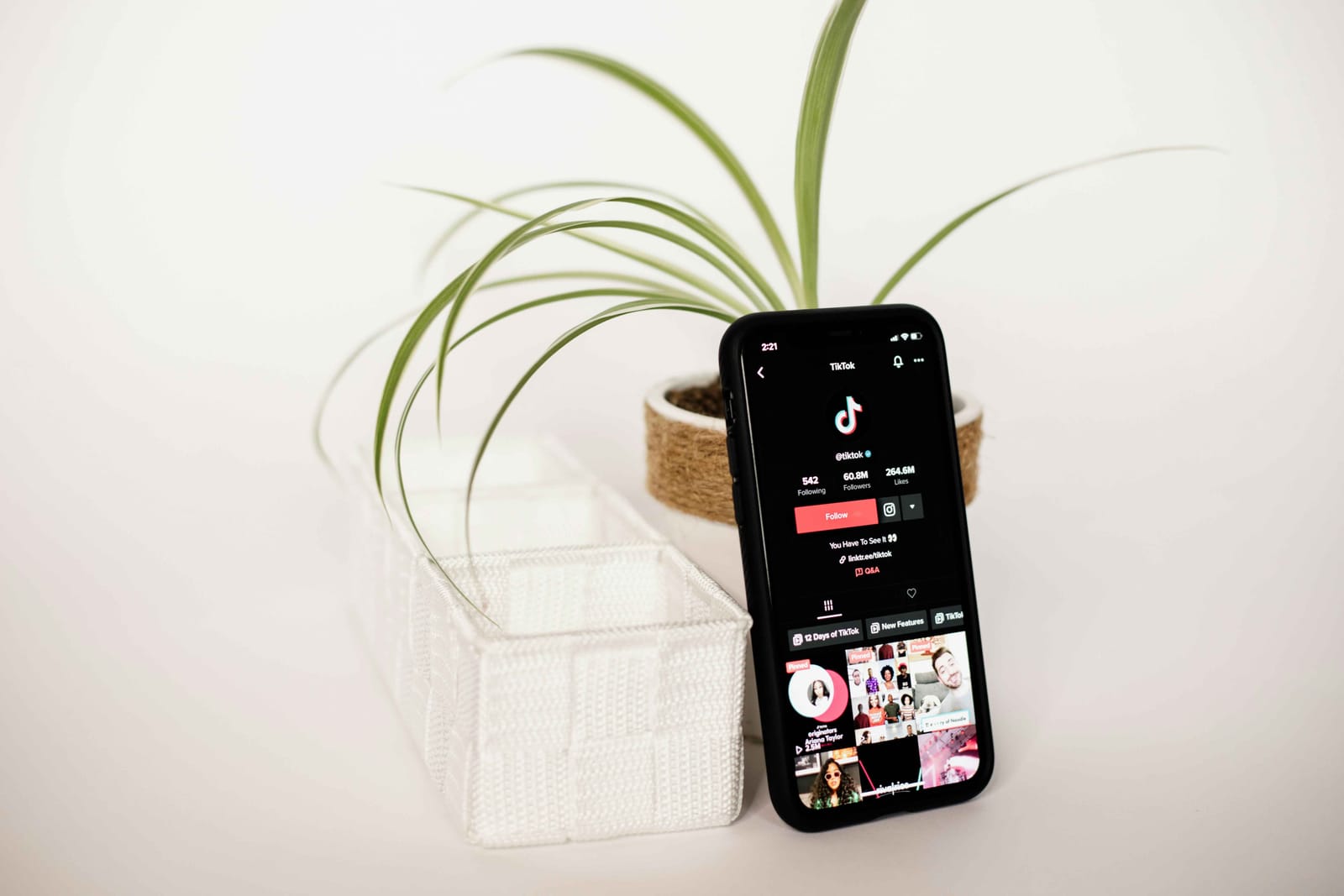 H εφαρμογή TikTok ανοιχτή σε κινητό στηριγμένο σε γλάστρα