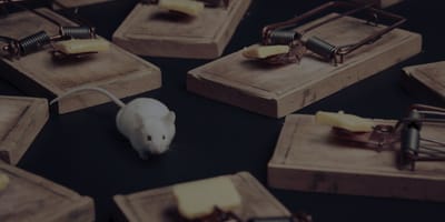 Τα top λάθη στο Shopify SEO (και πώς να τα αποφύγεις)