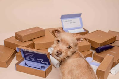Άλμα 26% είδε η EE από εισαγωγές σε φθηνά eCommerce δέματα