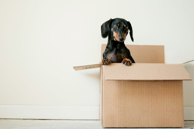 eCommerce packaging: Διαμορφώνεται από τις εξελισσόμενες ανάγκες πελατών